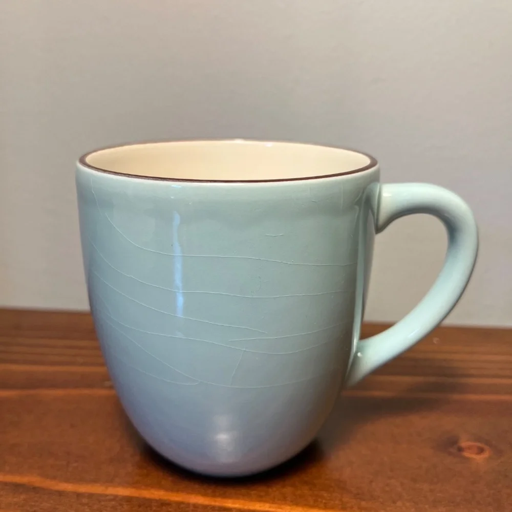 Crate & Barrel Audrey Coffee Mugs – Set of 4 (Robin’s Egg Blue)